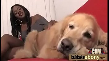 Play Sex with the dogs