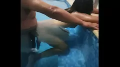 Play Mature Latinas Fucking in the Pool